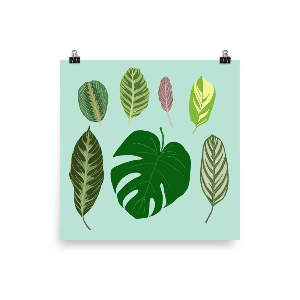 My Favorite Leaves print