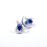 Beetle Stud Earrings in Blue