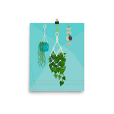 Hanging Plants and a Mobile Print